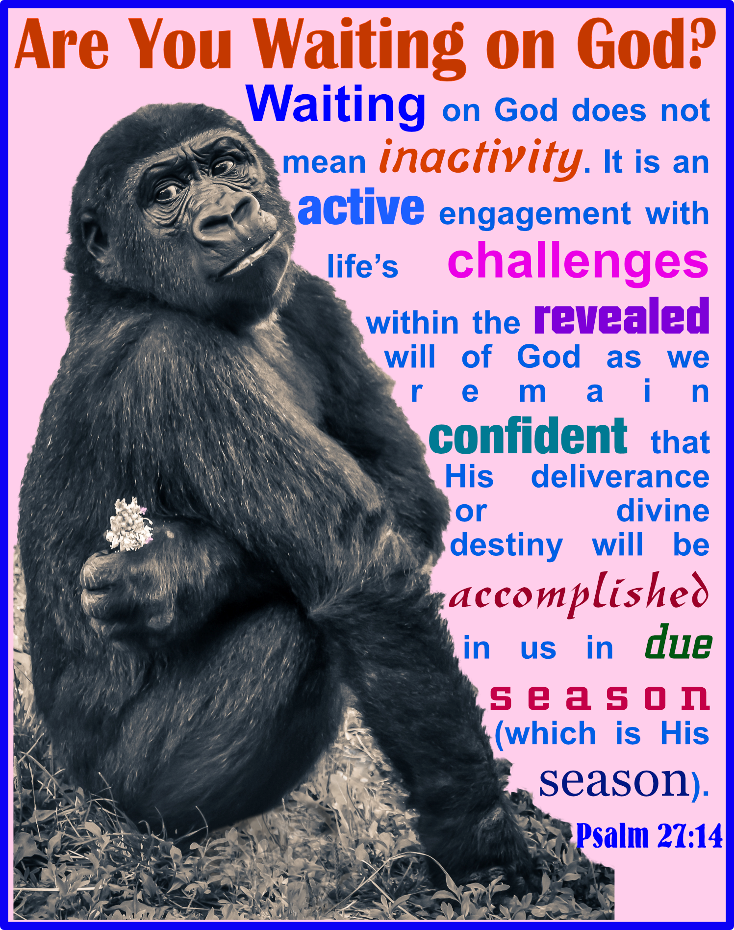 Waiting on God does not mean inactivity, it is an active engagement with life’s challenges within the revealed will of God as we remain confident that His divine destiny will be accomplished in due season (His season).