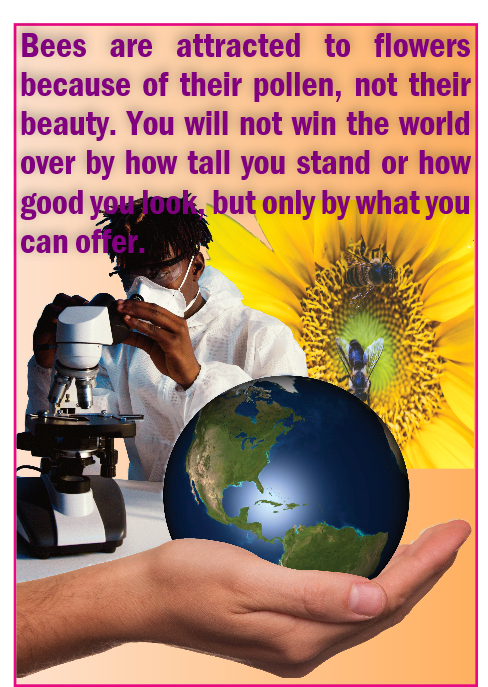 Bees are attracted to flowers because of their pollen instead of their beauty. You will not win the world over by how tall you stand or your looks but by what you offer.